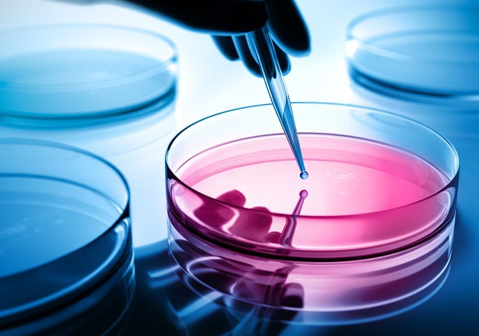 Petrischale mit Pipette