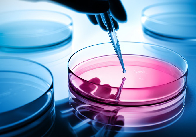 Petri dish with pipette