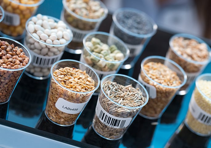 Samples of seeds and grains in food quality lab